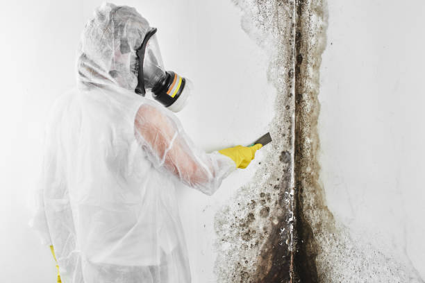 Best Residential Mold Inspection & Testing  in Sturtevant, WI